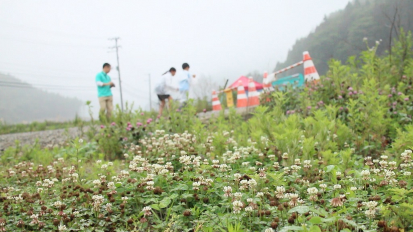 撮影遠景.jpg